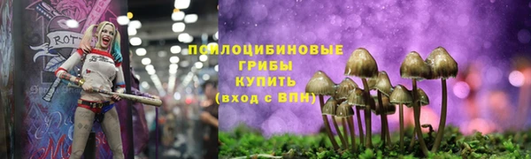винт Алзамай