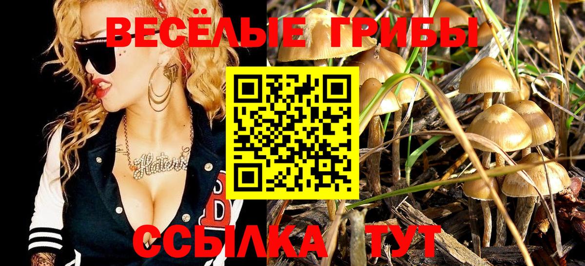 Псилоцибиновые грибы MAGIC MUSHROOMS  Вход с VPN  Сочи 